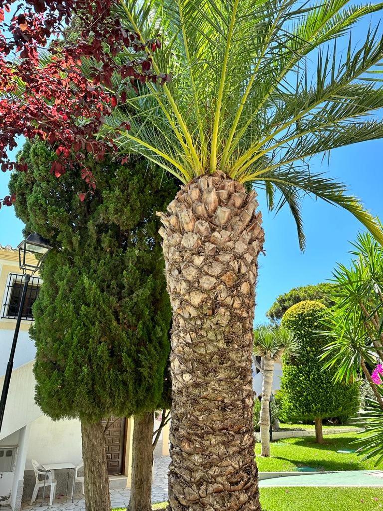 Casa De Familia Vera Coast Екстер'єр фото